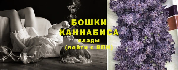 молекула духа Дмитровск