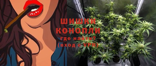 молекула духа Дмитровск